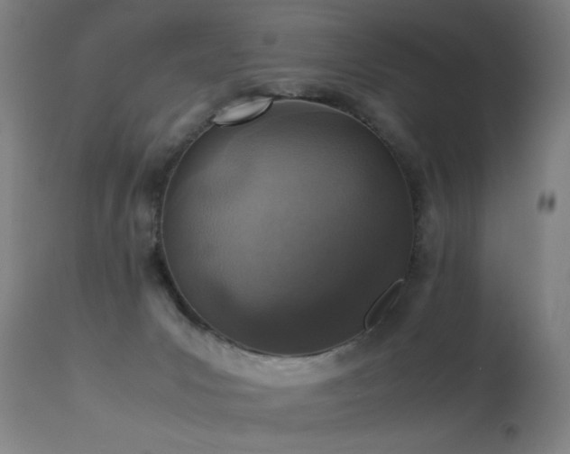 X0000113330031200909211230