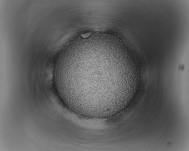 X0000113330032200909211230
