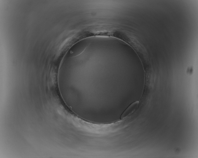 X0000113330035200909211230