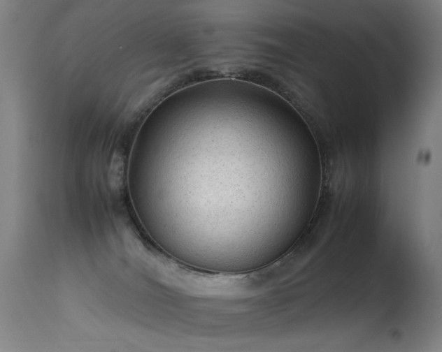 X0000113330036200909211230