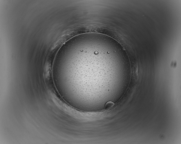 X0000113330038200909211230