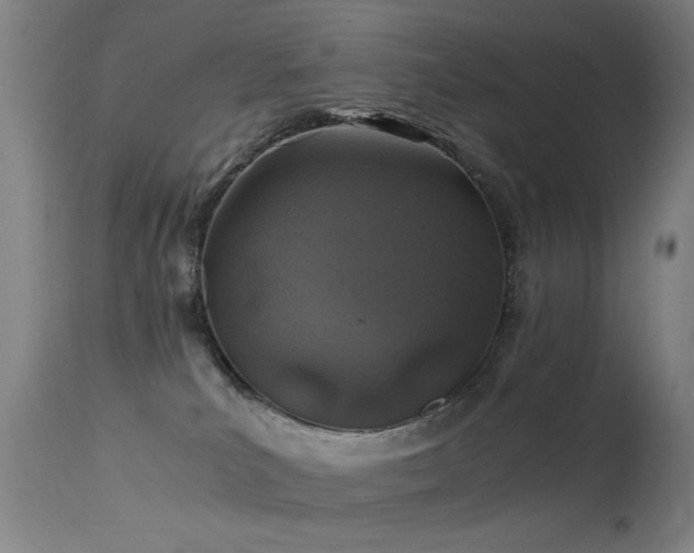 X0000113330039200909211230