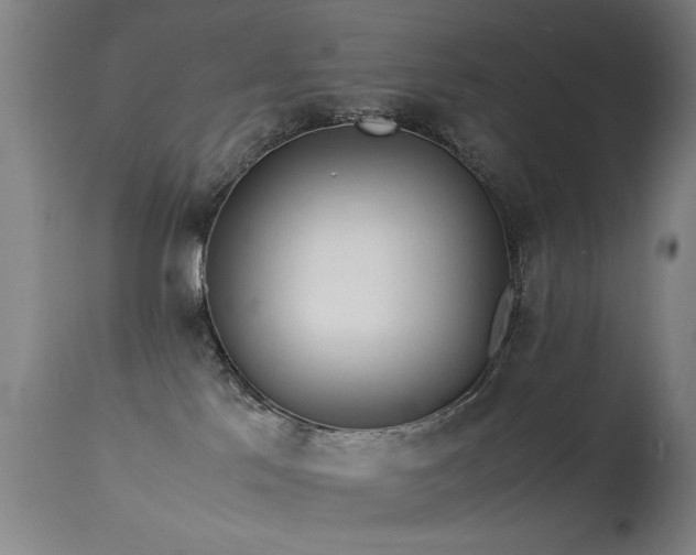 X0000113330041200909211230