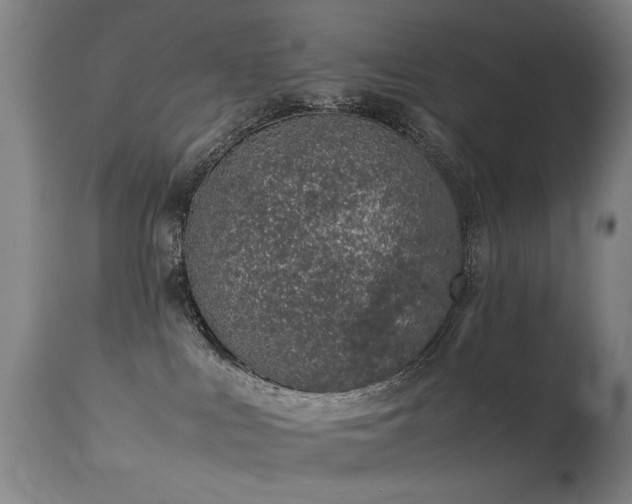 X0000113330043200909211230