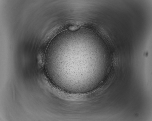 X0000113330044200909211230