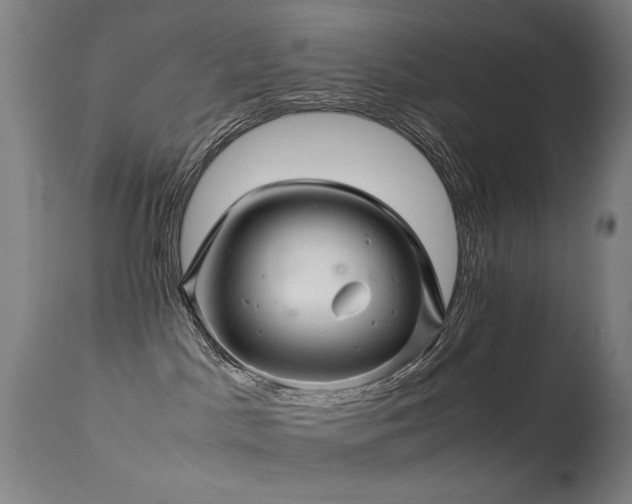 X0000113330045200909211230