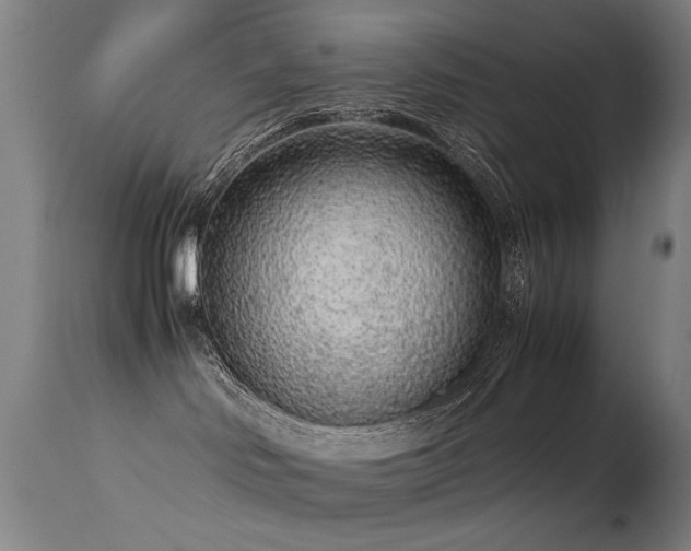 X0000113330046200909211230