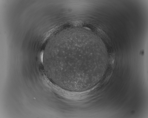 X0000113330047200909211230