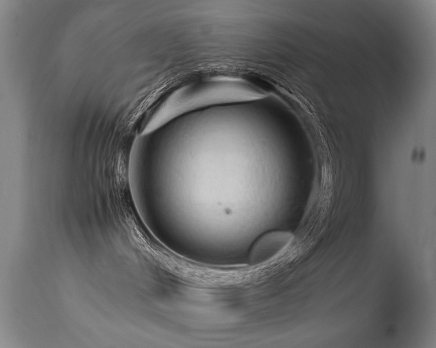 X0000113330048200909211230