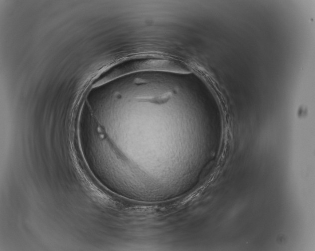 X0000113330049200909211229