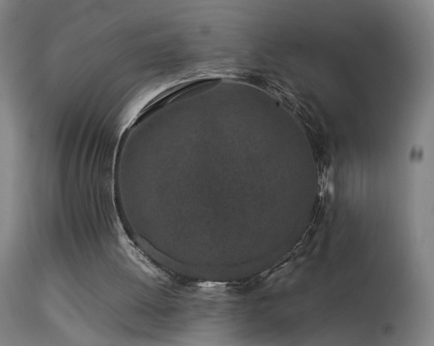 X0000113330052200909211229