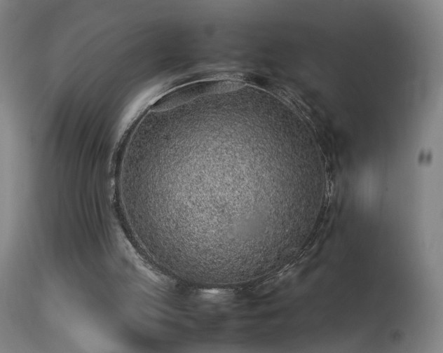 X0000113330053200909211229