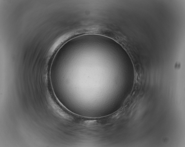 X0000113330054200909211229