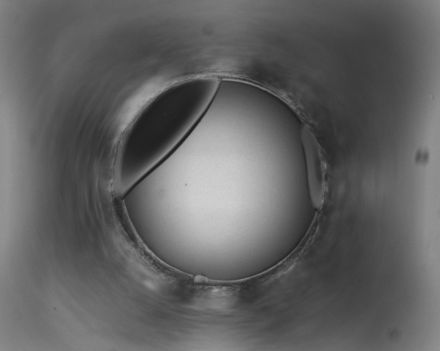 X0000113330056200909211229