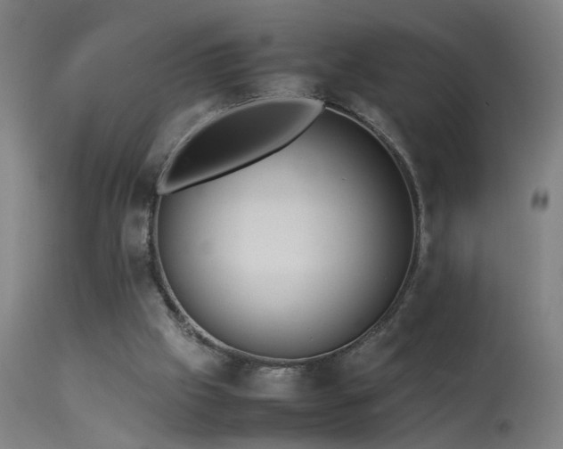 X0000113330057200909211229