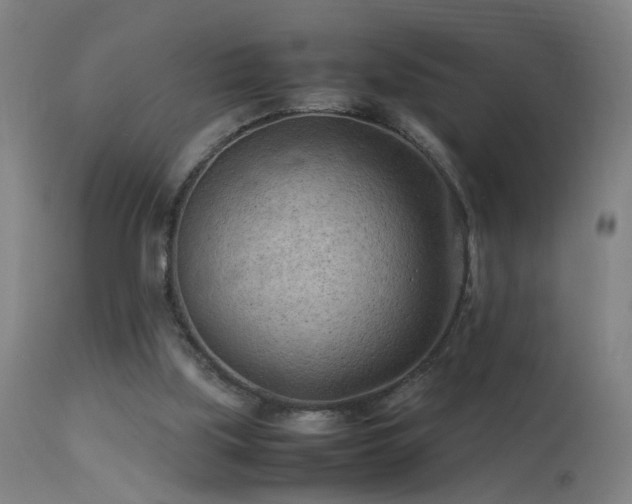 X0000113330059200909211229