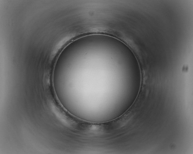 X0000113330060200909211229