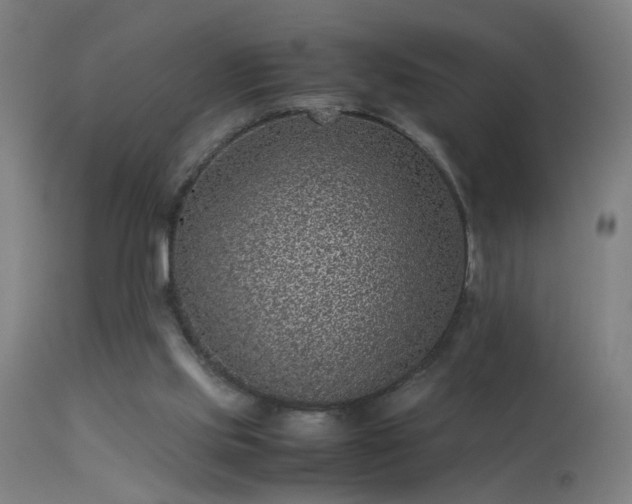 X0000113330061200909211229
