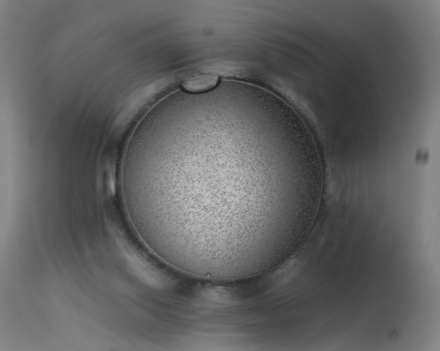 X0000113330062200909211229