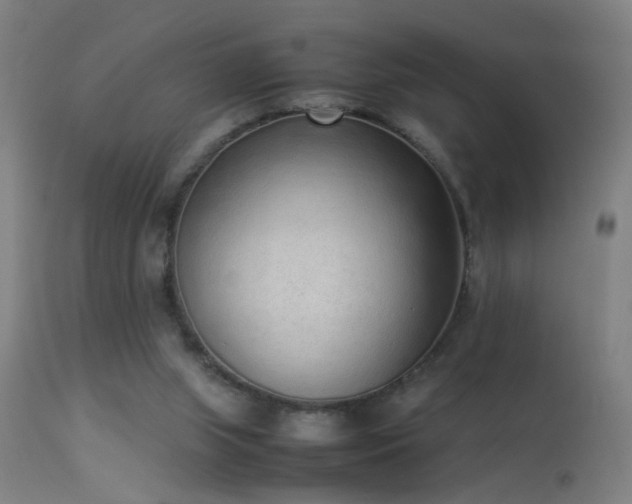 X0000113330063200909211229