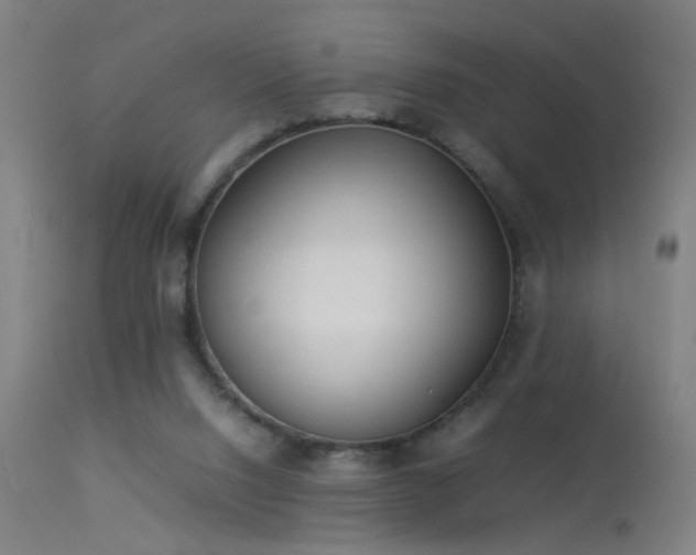X0000113330064200909211229