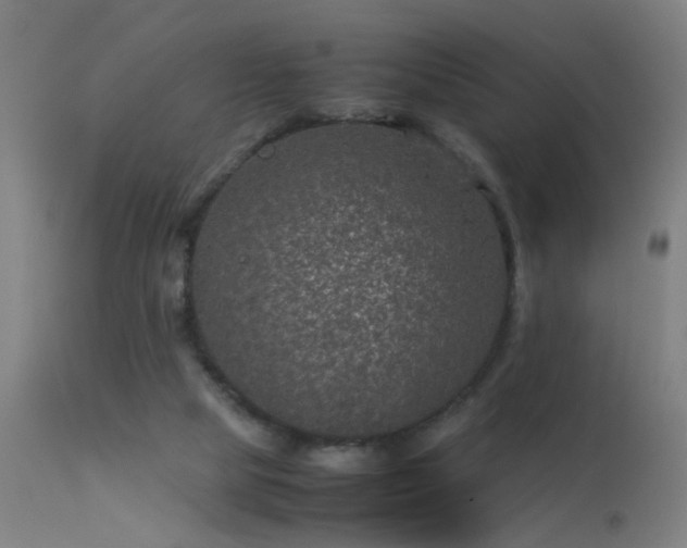 X0000113330065200909211229