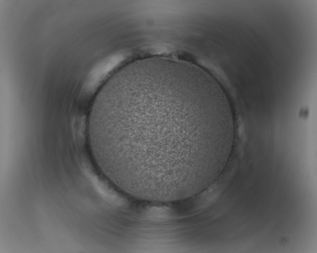 X0000113330066200909211229