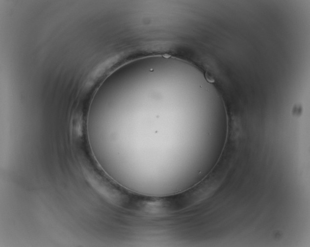 X0000113330068200909211229