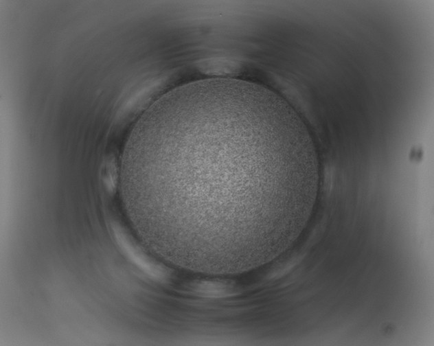 X0000113330069200909211229
