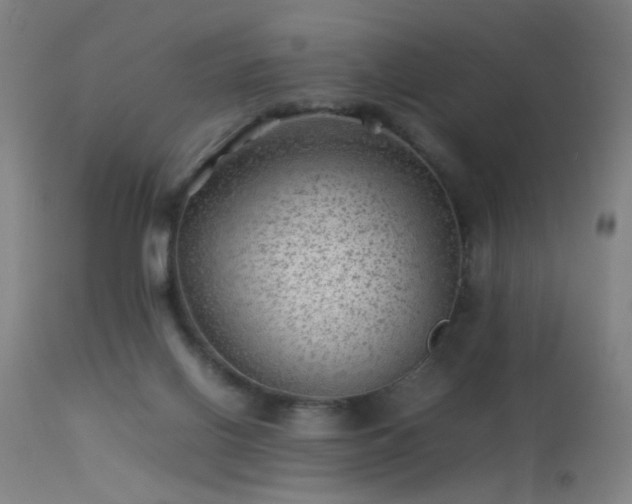 X0000113330070200909211230