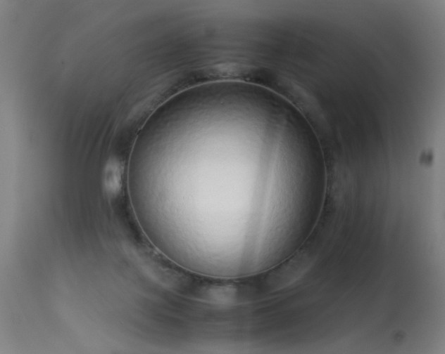 X0000113330075200909211230