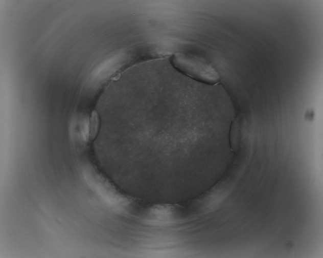 X0000113330076200909211230