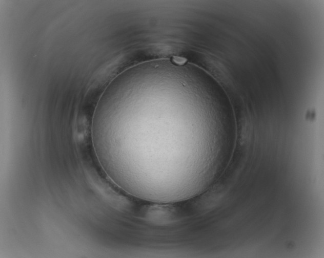 X0000113330077200909211230