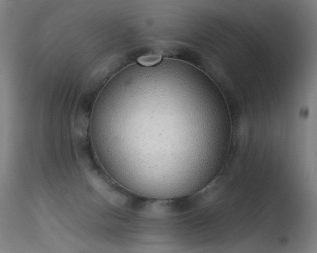 X0000113330078200909211230