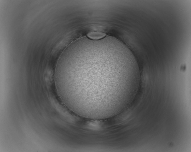 X0000113330079200909211230