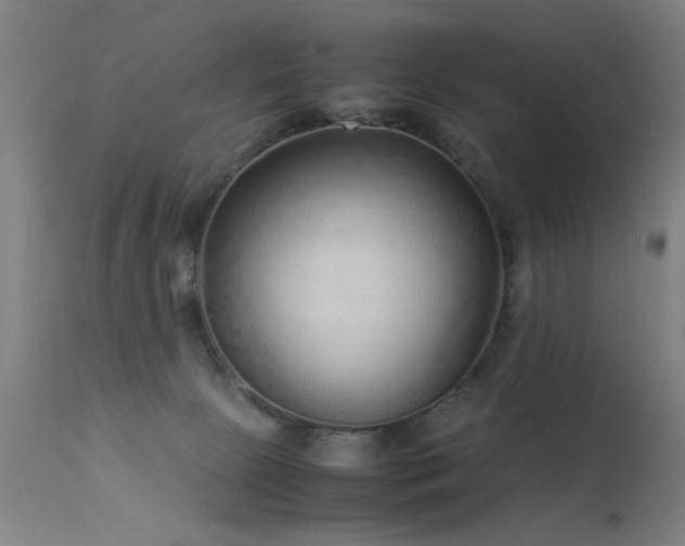 X0000113330081200909211230