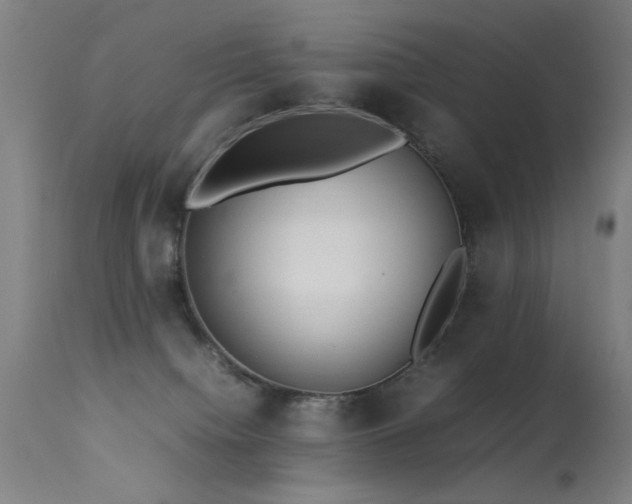 X0000113330084200909211230