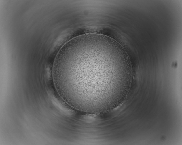 X0000113330086200909211230