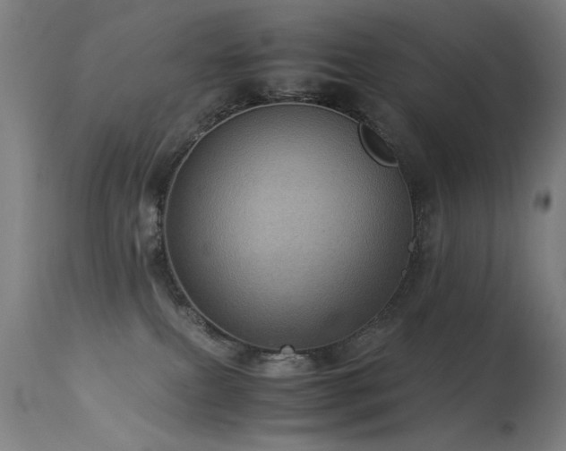 X0000113330087200909211230