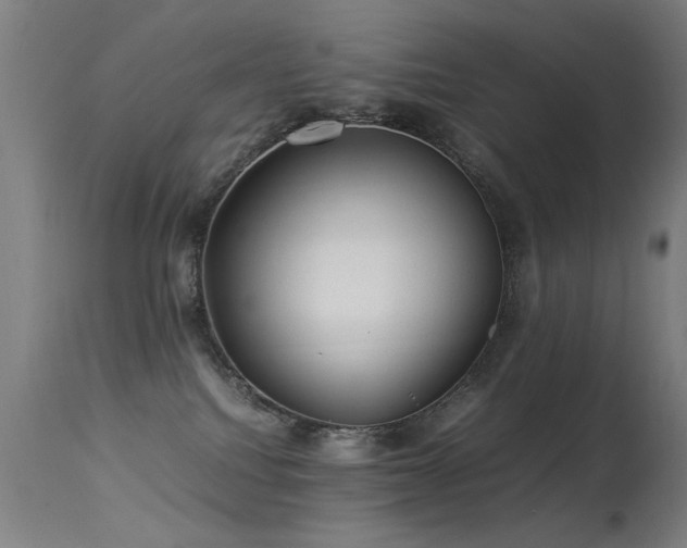 X0000113330088200909211230