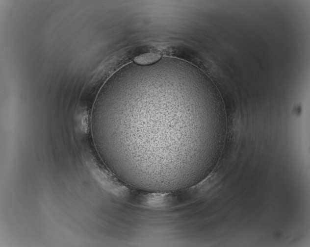 X0000113330090200909211230
