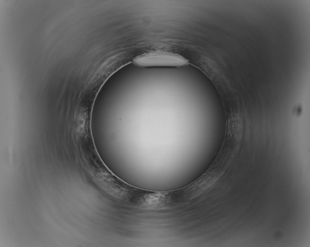 X0000113330092200909211230