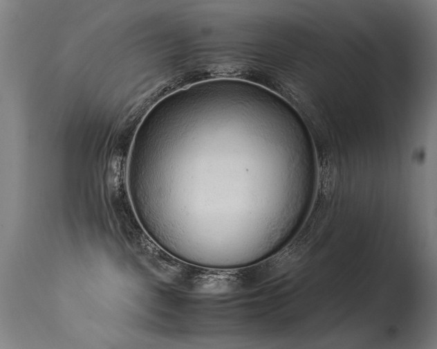 X0000113330093200909211230