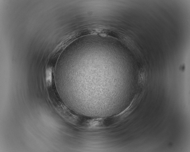 X0000113330094200909211230