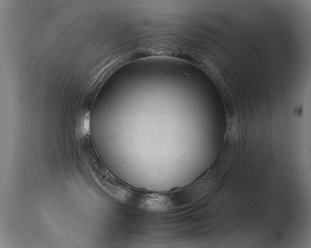 X0000113330095200909211230