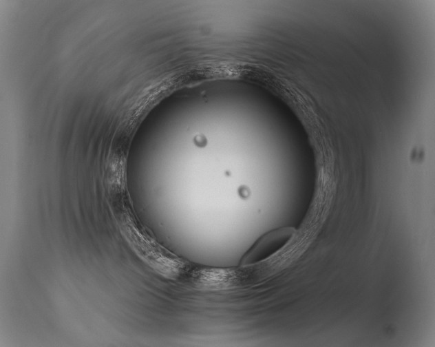 X0000113330096200909211230
