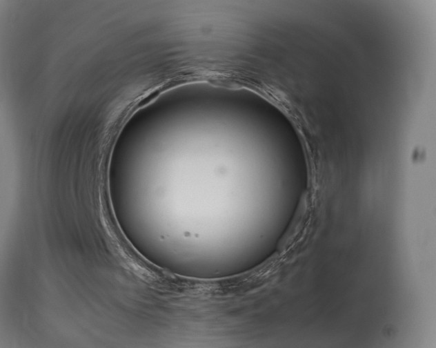 X0000113330097200909211229