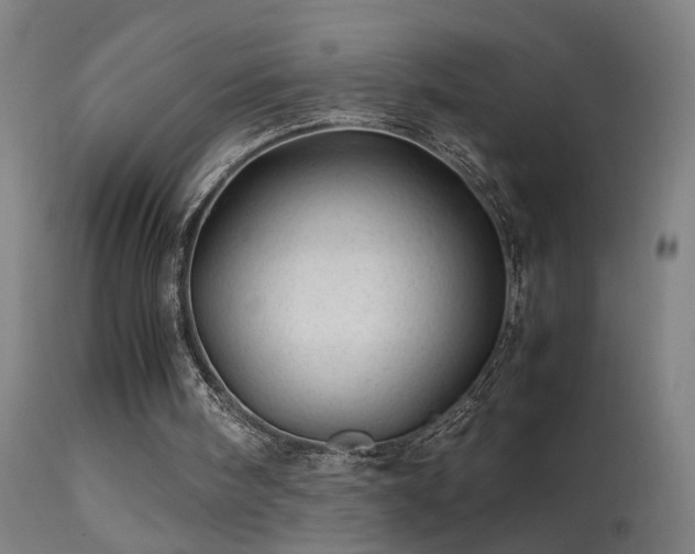 X0000113330098200909211229