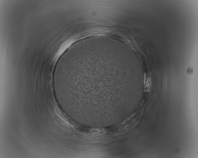 X0000113330099200909211229
