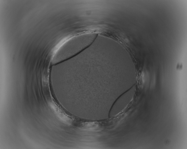 X0000113330100200909211229